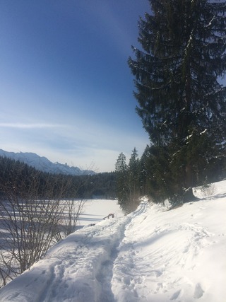 Wanderweg  Wallgau – Grubsee – Klais