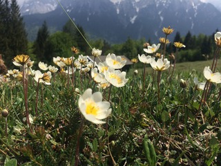 Auf dem Weg zur Korbibianhütte